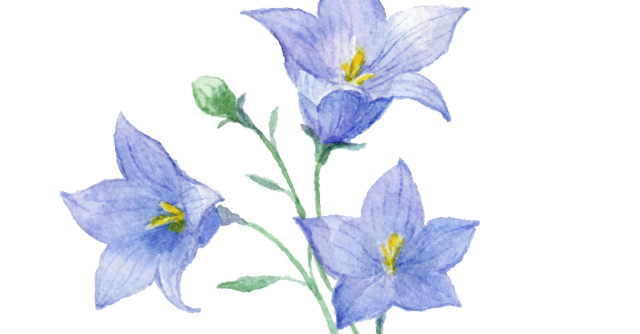 Z世代の5人に1人「葬儀は行わなくてもよい」　希望するお別れの形は？→参列人数2位は「1〜5人」