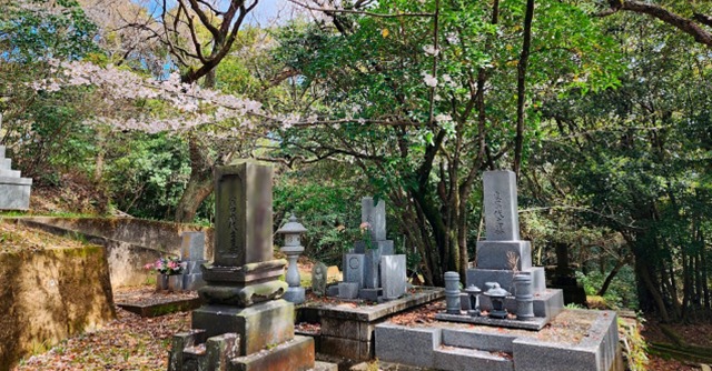 海洋散骨から“メタバース霊園”まで…10年で2倍に急増中の『墓じまい』大きく変わりつつある供養のあり方