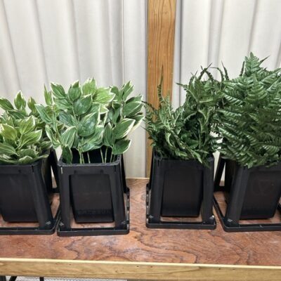 リアルリーフ　セット　レザーファン　ナルコラン　【引き取り可】